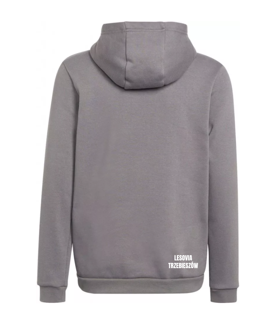Bluza adidas ENTRADA 22 Hoody Junior szara