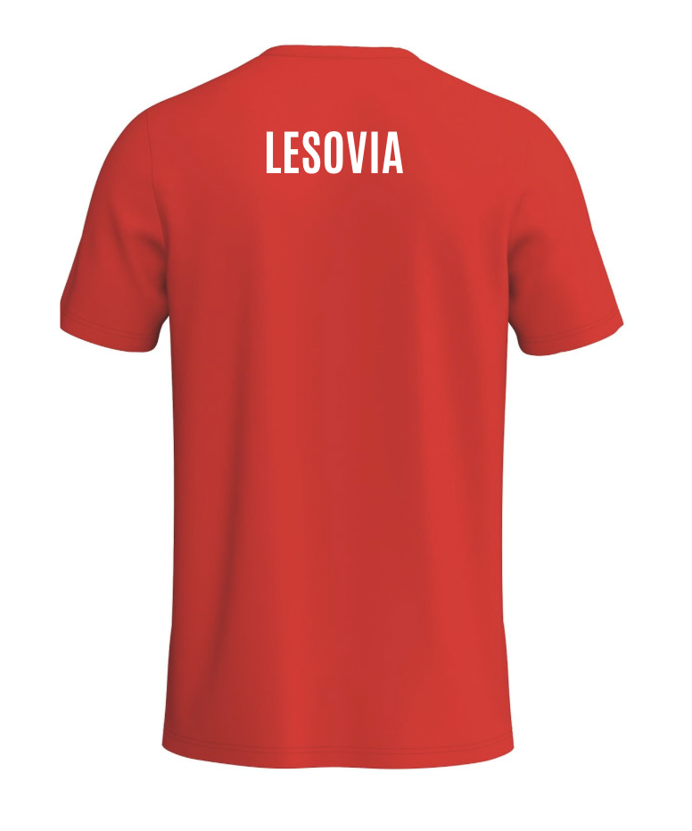 Koszulka czerwona ERIMA Intro z numerem Senior