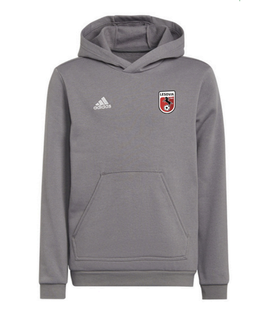 Bluza adidas ENTRADA 22 Hoody Senior szara
