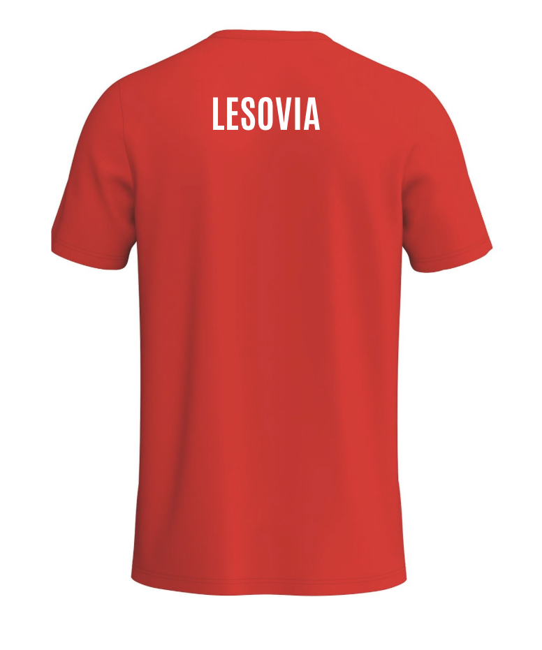 Koszulka czerwona ERIMA Intro z numerem Junior